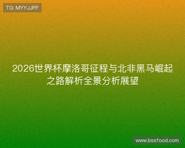 2026世界杯摩洛哥征程与北非黑马崛起之路解析全景分析展望