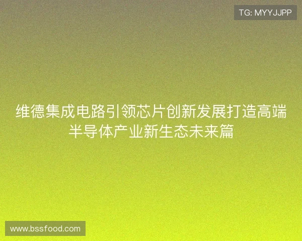 维德集成电路引领芯片创新发展打造高端半导体产业新生态未来篇 维德集成电路引领芯片创新发展打造高端半导体产业新生态未来篇